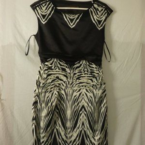 NEW (W/O Tags) Limited Zebra Print Dress (SZ 4)